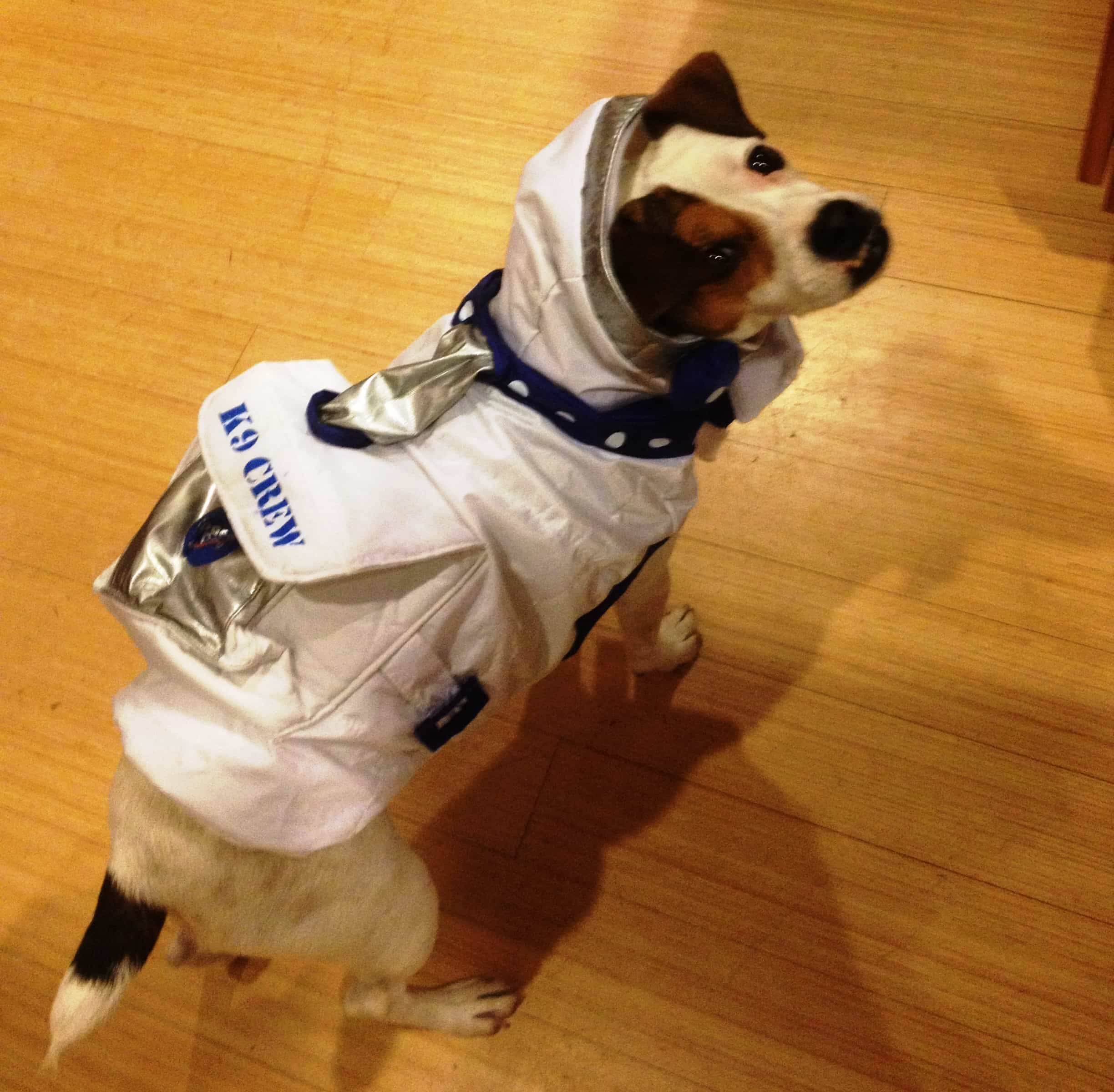 Trixie Astronaut